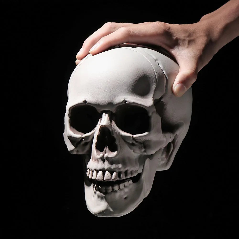 Halloween Decor Human Skull / Head Skeleton