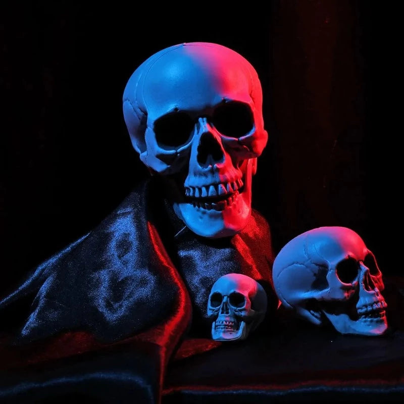 Halloween Decor Human Skull / Head Skeleton